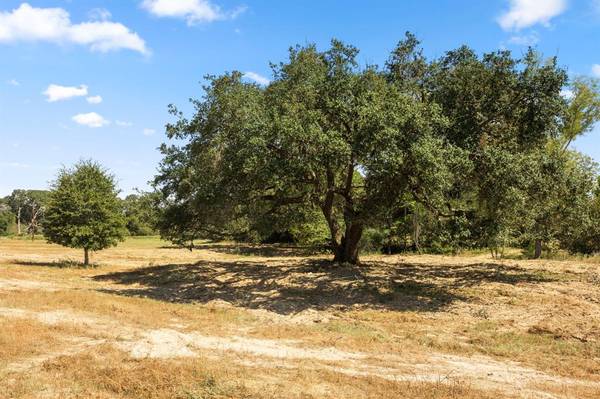 TBD (TR 2) Joshua Tree Lane at Brunes Mill Rd, Columbus, TX 78934