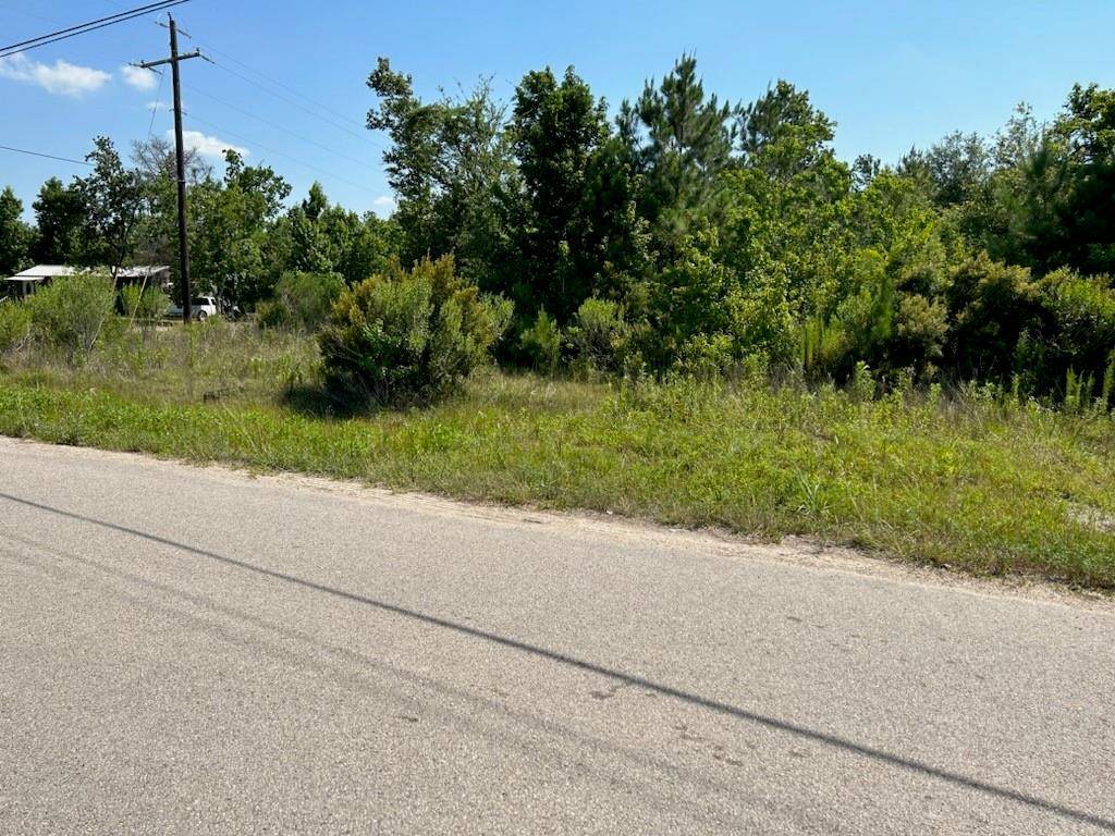 Dayton, TX 77535,138 County Road 48761