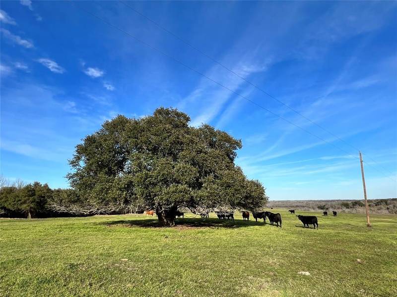 9785 Oil Field Road, Brenham, TX 77833