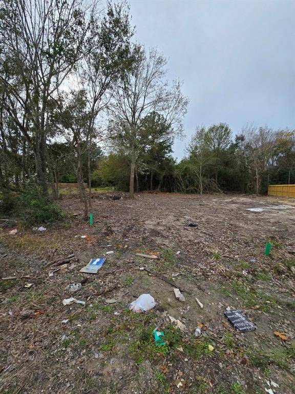 Houston, TX 77088,8401 Sunnyhill ST