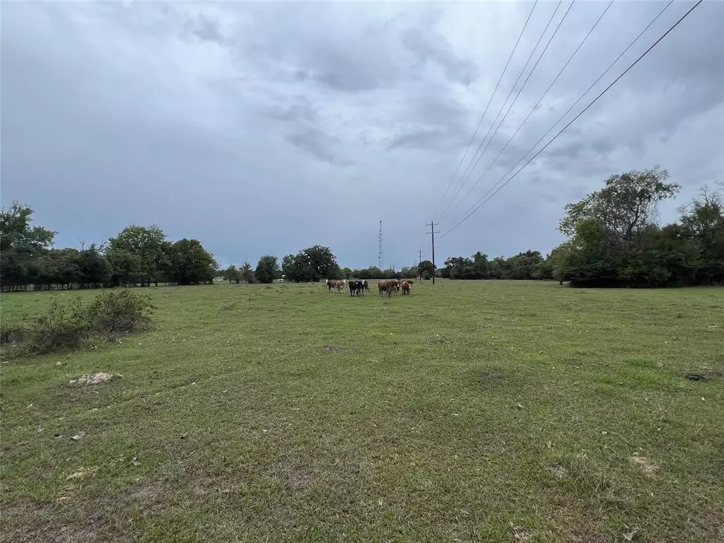 Iola, TX 77861,Lot 6 County Road 166