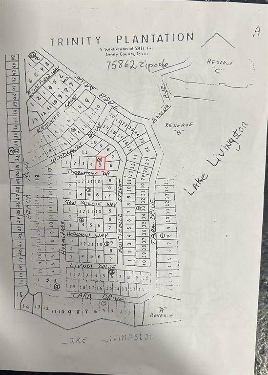 Lot 5 Thornton ST, Trinity, TX 75862