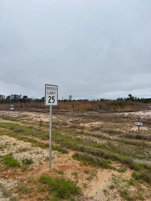 TBD Blackjack Road Tract 51, Livingston, TX 77351