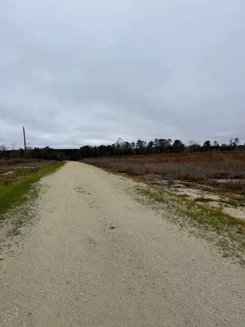 Livingston, TX 77351,TBD Blackjack Road Tract 51