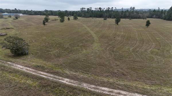 13.86 acres Tract 3 TBD Percy Howard RD, Huntsville, TX 77340