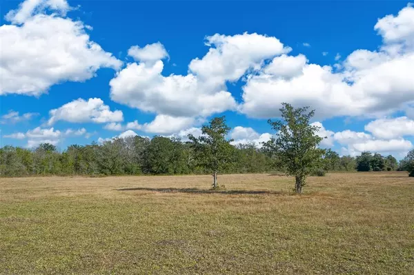 Bedias, TX 77831,Lot 14 County Rd 229