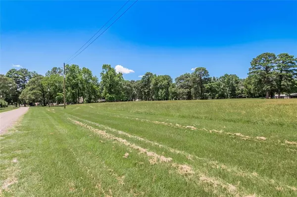 Trinity, TX 75862,Lot 6 Liendo DR