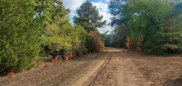 Hempstead, TX 77445,Lot 23 Deerwood DR