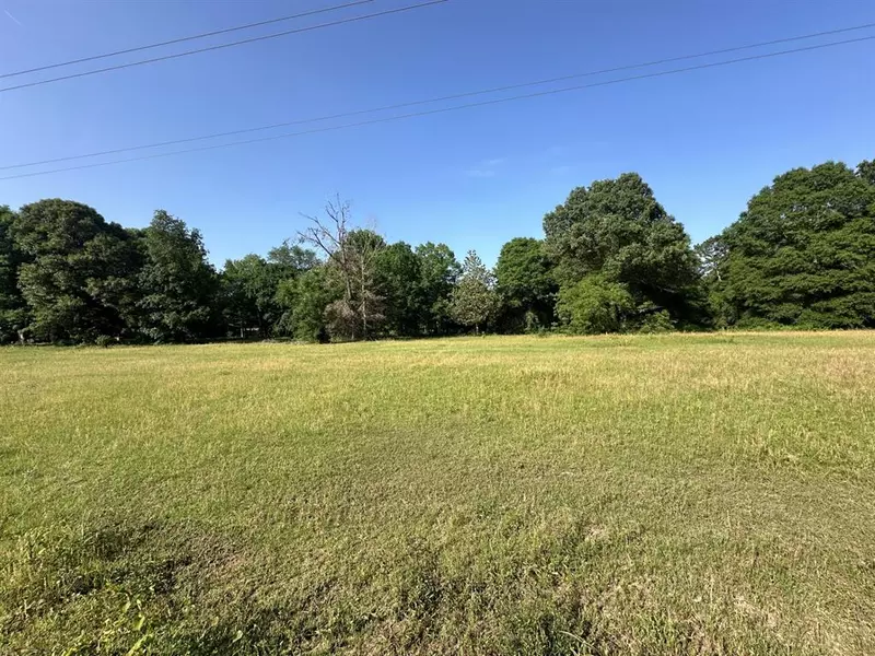 TBD Andrew Jackson, Livingston, TX 77351