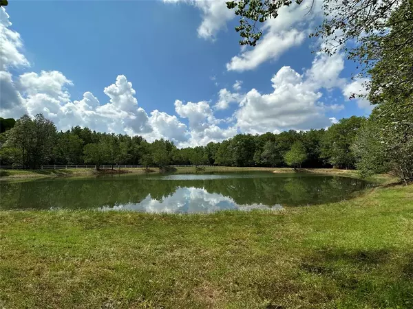 Magnolia, TX 77355,00 Shady Bend Lot 4