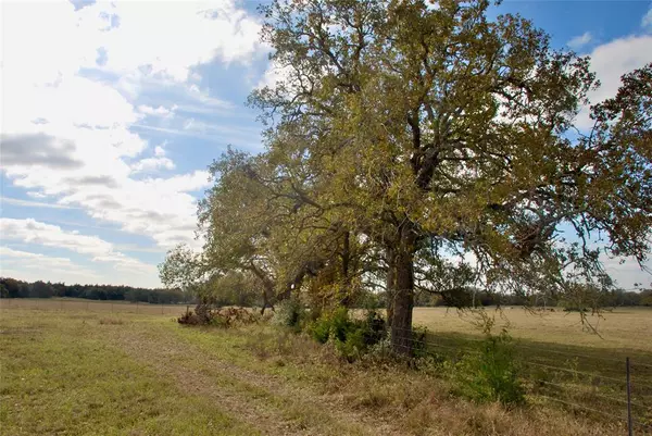 Hallettsville, TX 77964,TBD County Road 135  Tract 2