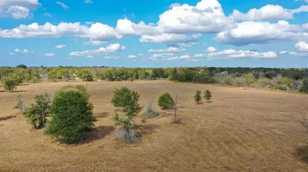 Bedias, TX 77831,Lot 12 County Rd 229