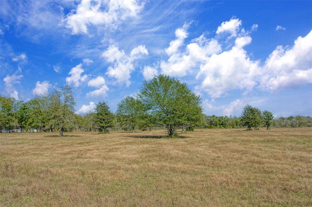 Bedias, TX 77831,Lot 12 County Rd 229
