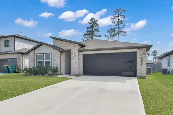 Conroe, TX 77384,10309 Cascade Range LN