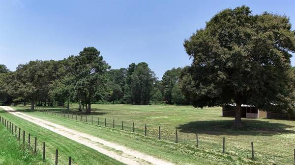 23540 Flavin Lane RD, Hockley, TX 77447