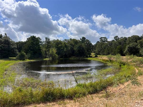 TBD Big Pasture RD, Columbus, TX 78934