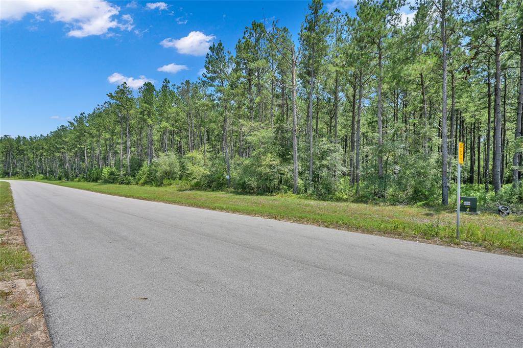 10995 Ruger RD,  Willis,  TX 77378