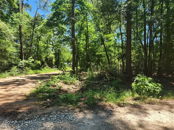 Plantersville, TX 77363,Lot 1 Pineknoll DR