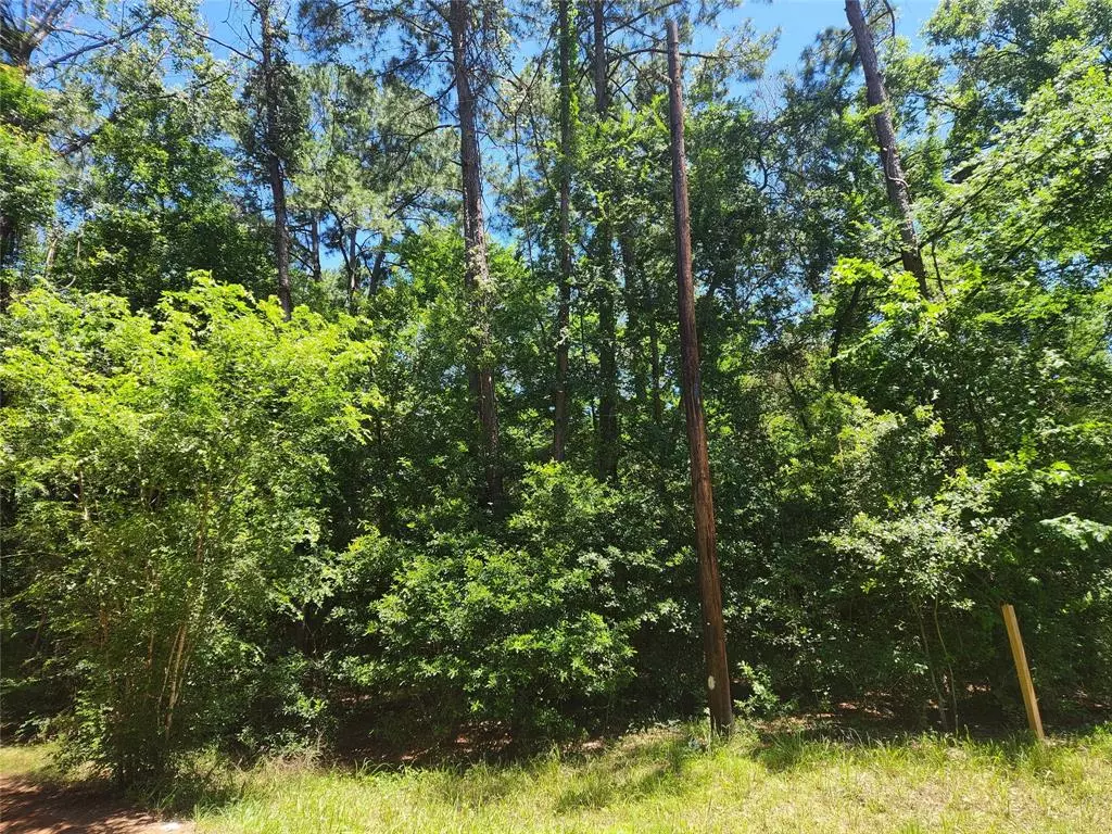 Plantersville, TX 77363,Lot 1 Pineknoll DR