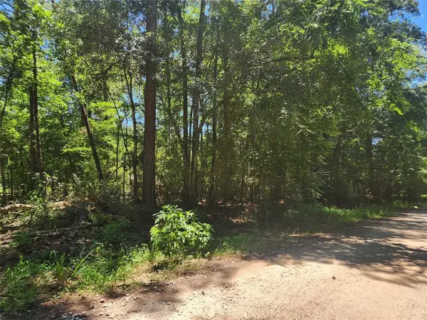 Plantersville, TX 77363,Lot 1 Pineknoll DR