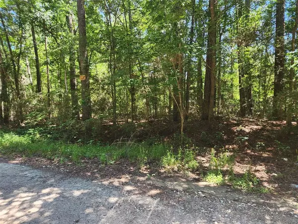 Plantersville, TX 77363,Lot 1 Pineknoll DR