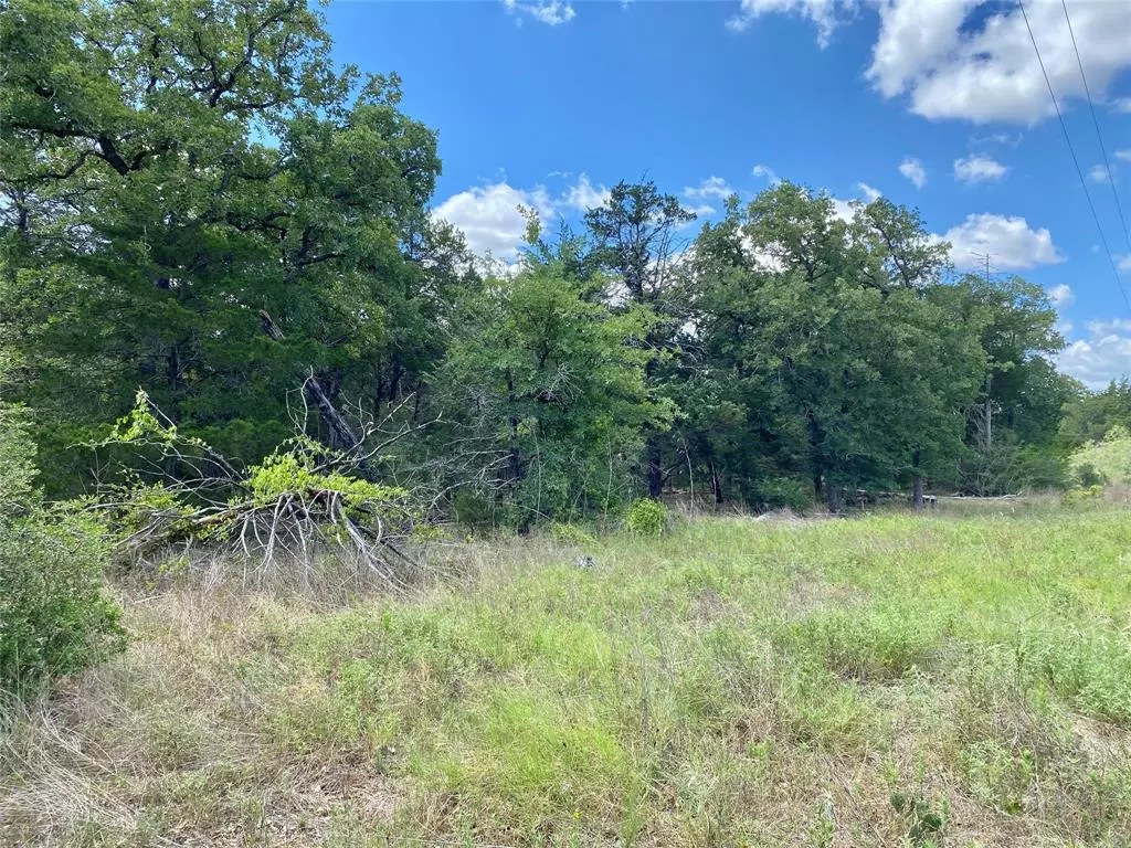 Ledbetter, TX 78946,TBD Goehring Rd - Tract 6