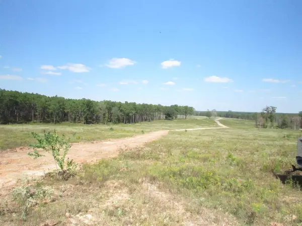 0001 FM 256 N, Woodville, TX 75979