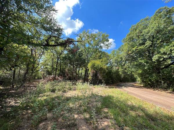 30AC CR 770, Buffalo, TX 75831