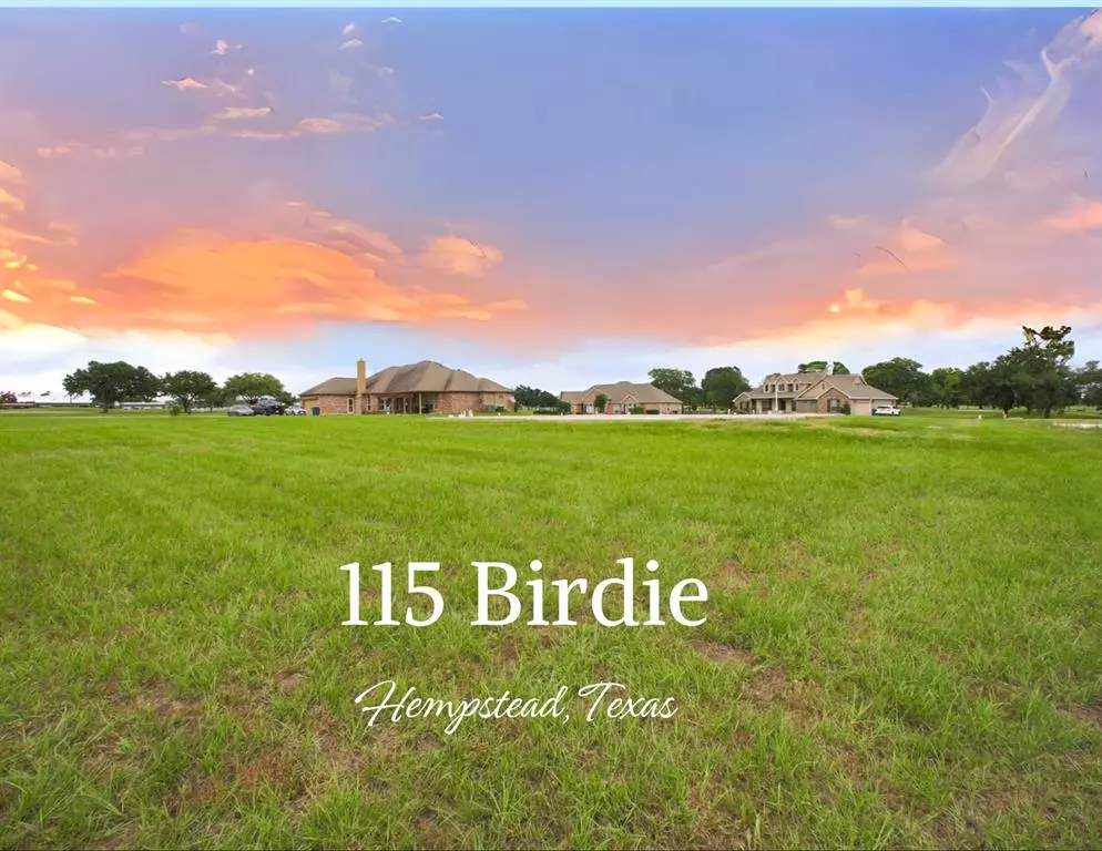 Hempstead, TX 77445,115 Birdie DR