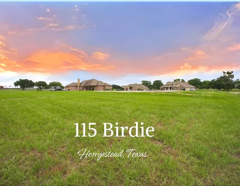 115 Birdie DR, Hempstead, TX 77445