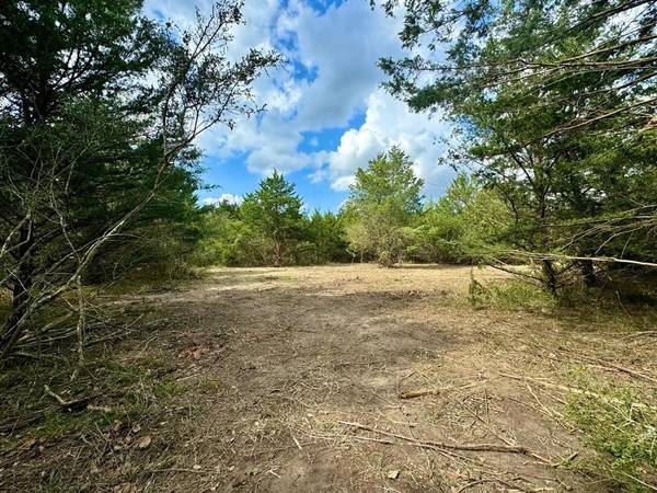 571 Oak Meadow RD, Bellville, TX 77418