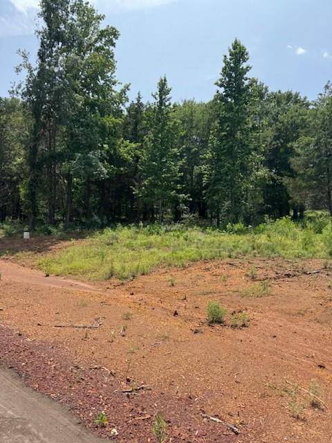 Palestine, TX 75801,8841 Private RD