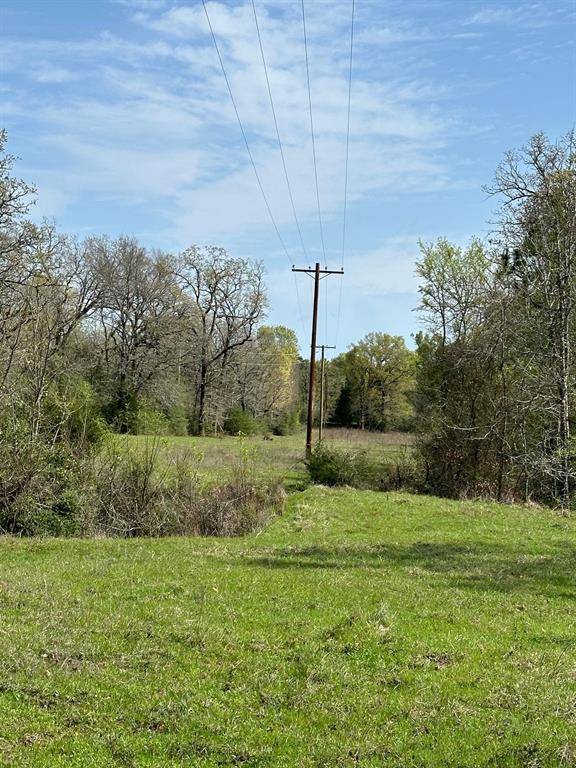 10 ac PR 1380, Centerville, TX 75833