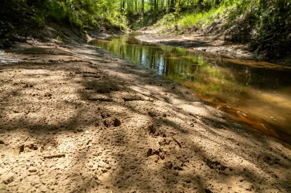 Garrison, TX 75946,TBD Linn Flat Road