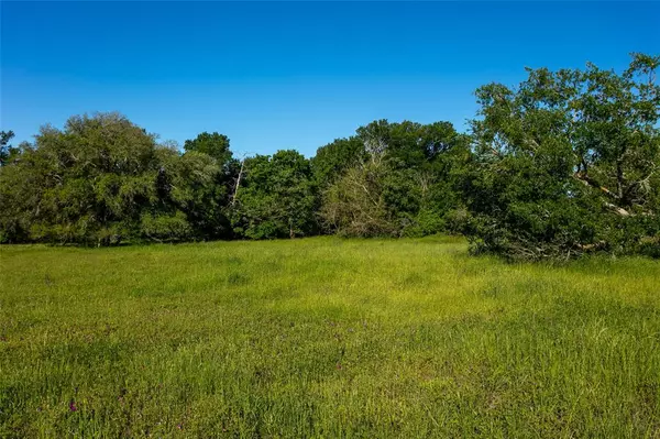 Caldwell, TX 77836,Lot 5B Brazos CT