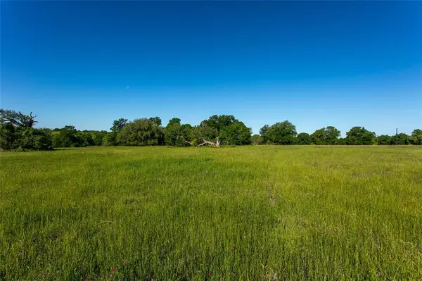 Caldwell, TX 77836,Lot 5B Brazos CT