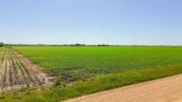 Louise, TX 77455,Lot 5 County Road 326