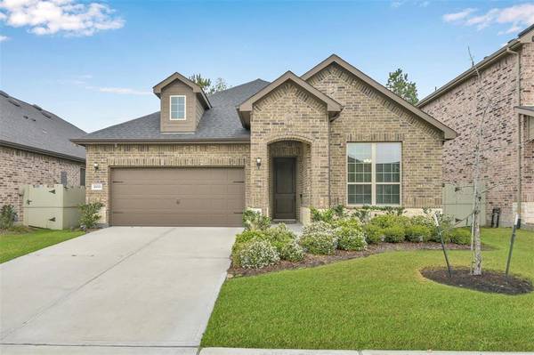 10033 Red Beadtree PL, Conroe, TX 77385