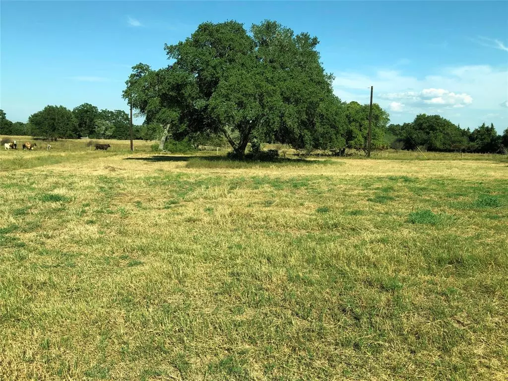 Hallettsville, TX 77964,Lot 7 PVT 1672