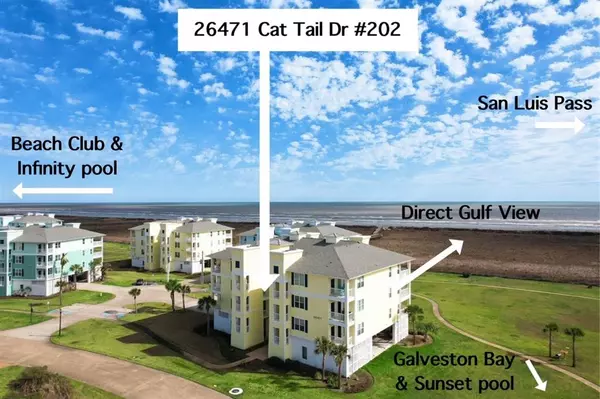 Galveston, TX 77554,26471 Cat Tail DR #202