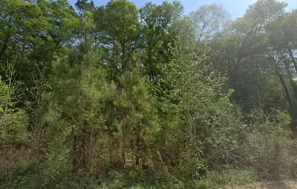 New Caney, TX 77357,Lot 130, 0 Shire RD