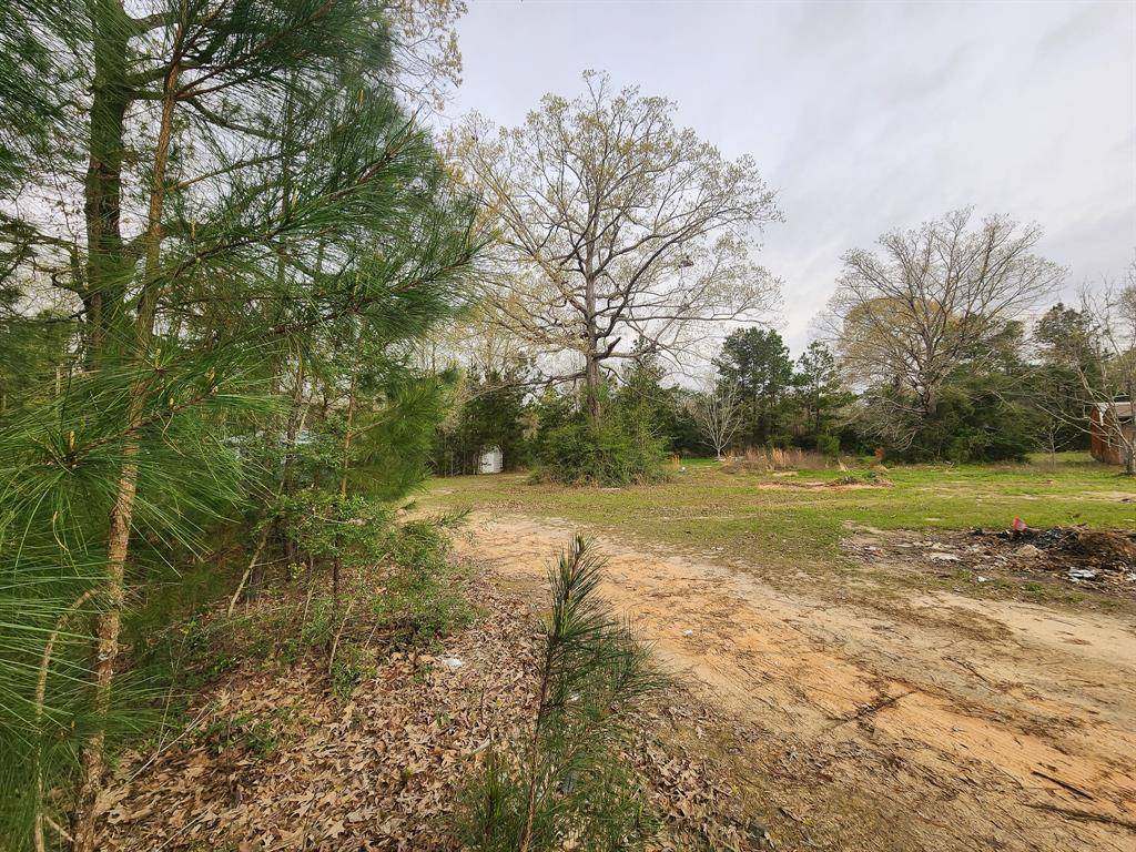 Livingston, TX 77351,434 Forest Hills LOOP