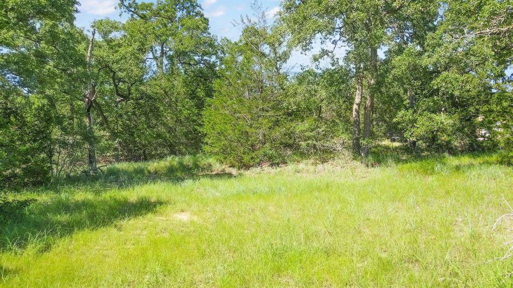 TBD Woodvine Lane, Somerville, TX 77879