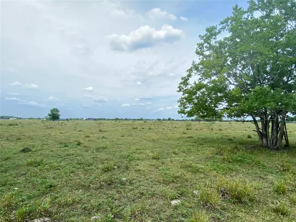 Rosharon, TX 77583,0 Lot 6, County Road 382