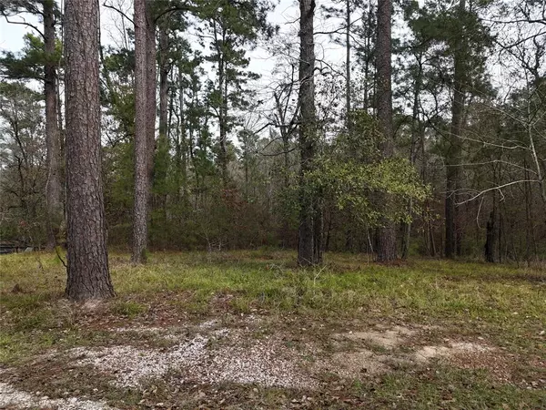 Coldspring, TX 77331,TBD Shadow Wood CIR