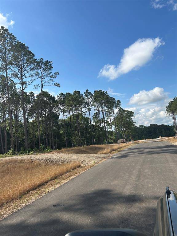 Willis, TX 77378,11345 Annie Creek Drive
