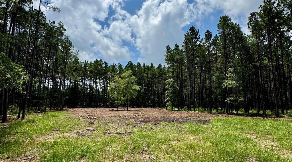 TBD County Road 2626, Wells, TX 75976