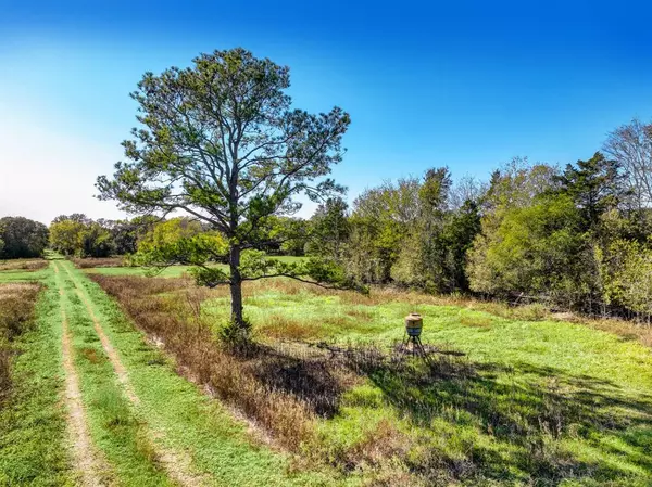 Damon, TX 77430,000 County Road 509 Off County Rd