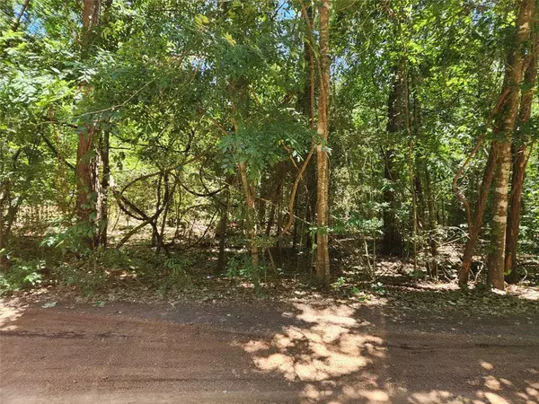 Plantersville, TX 77363,Lot 1 Thornwood DR