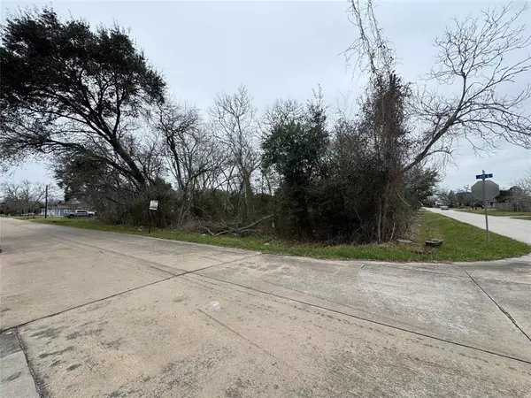 Dickinson, TX 77539,000 Avenue G